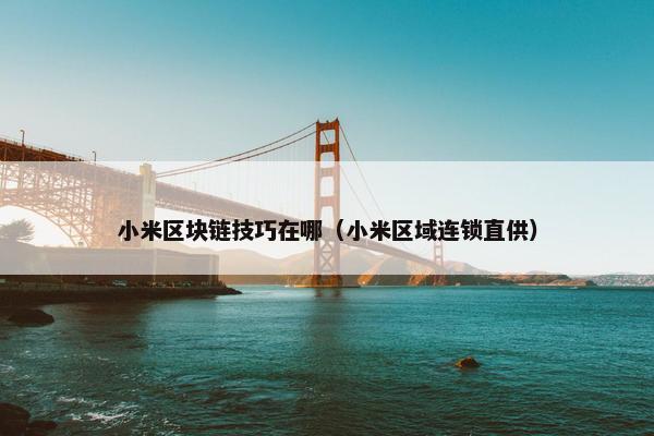 小米区块链技巧在哪（小米区域连锁直供）