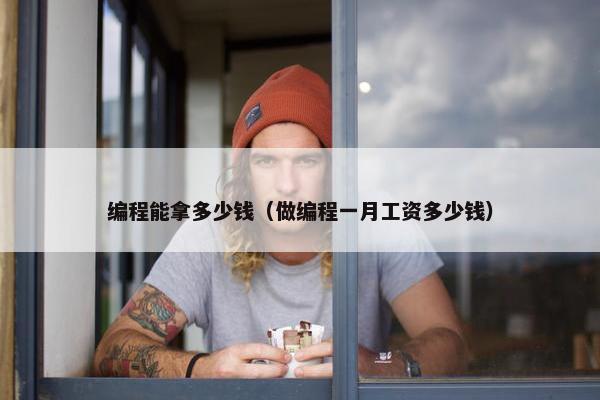 编程能拿多少钱（做编程一月工资多少钱）