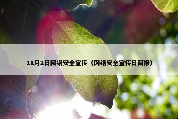 11月2日网络安全宣传（网络安全宣传日简报）
