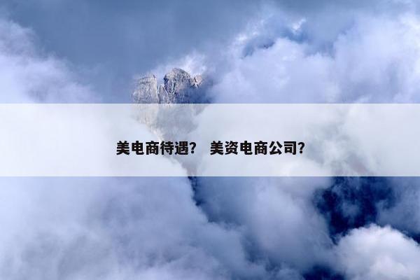 美电商待遇？ 美资电商公司？