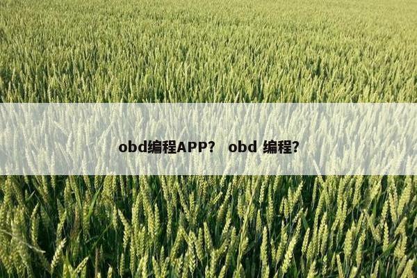 obd编程APP？ obd 编程？