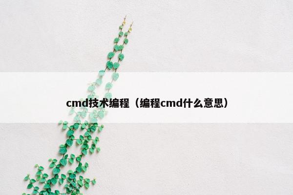 cmd技术编程（编程cmd什么意思）