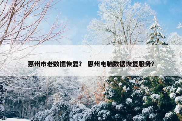 惠州市老数据恢复？ 惠州电脑数据恢复服务？