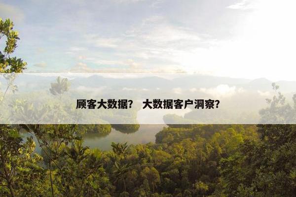 顾客大数据？ 大数据客户洞察？