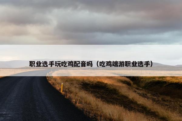 职业选手玩吃鸡配音吗（吃鸡端游职业选手）