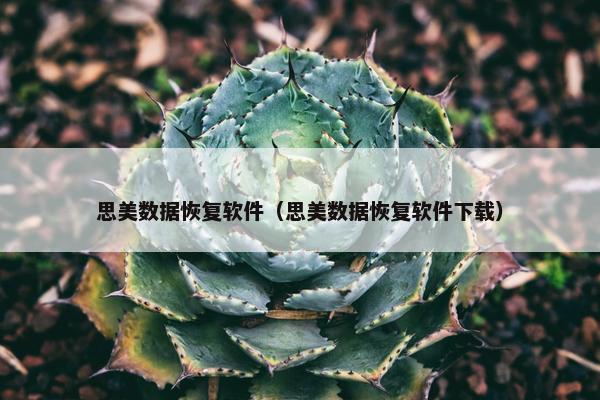 思美数据恢复软件（思美数据恢复软件下载）