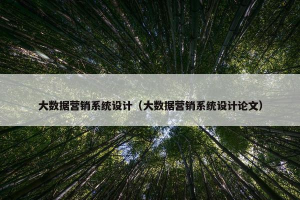 大数据营销系统设计（大数据营销系统设计论文）