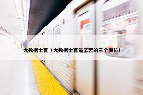 大数据士官（大数据士官最辛苦的三个岗位）