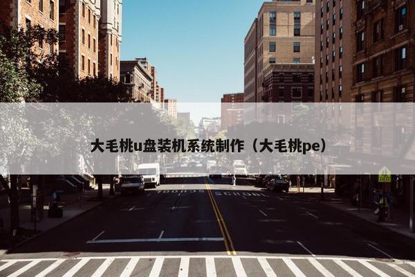 大毛桃u盘装机系统制作（大毛桃pe）