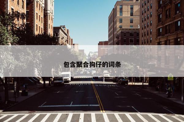 包含聚合狗仔的词条
