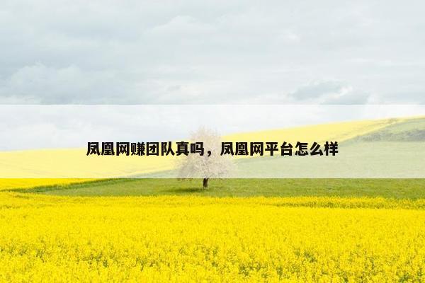 凤凰网赚团队真吗，凤凰网平台怎么样
