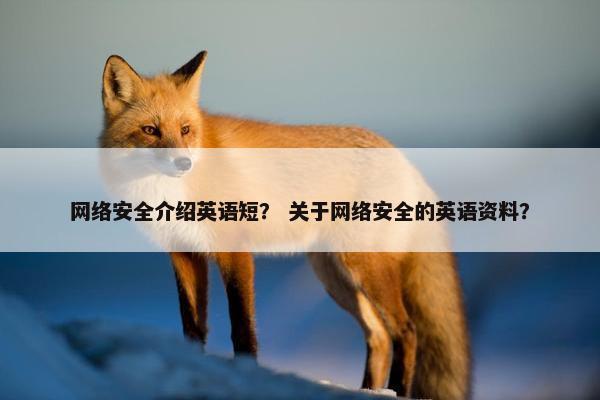 网络安全介绍英语短？ 关于网络安全的英语资料？