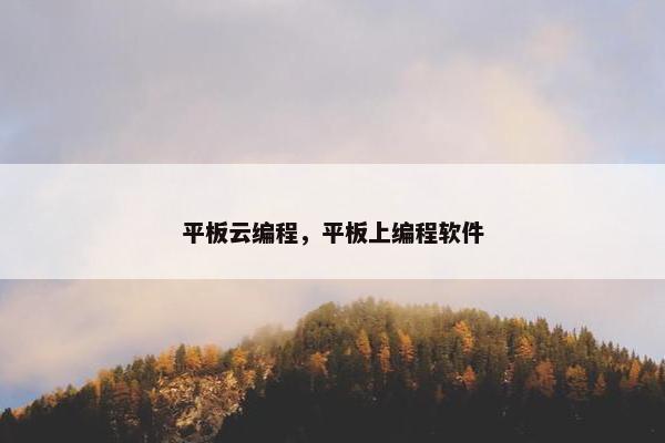 平板云编程，平板上编程软件