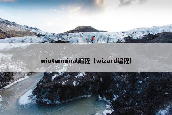 wioterminal编程（wizard编程）
