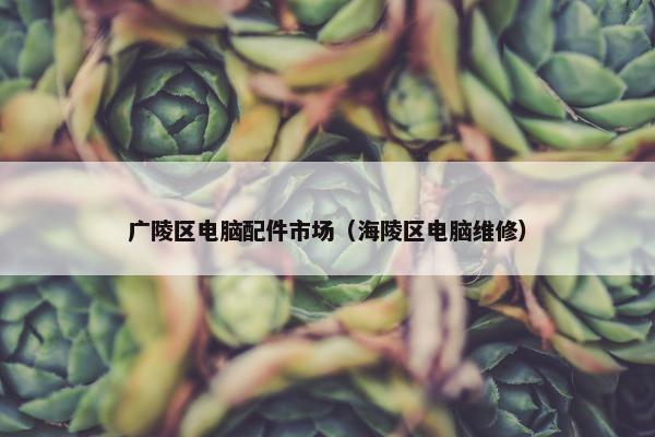 广陵区电脑配件市场（海陵区电脑维修）