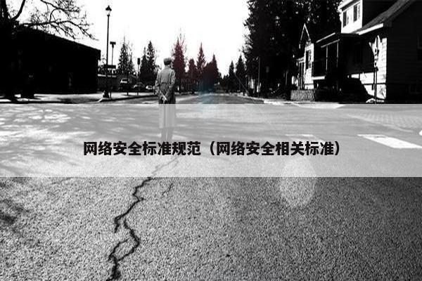 网络安全标准规范（网络安全相关标准）