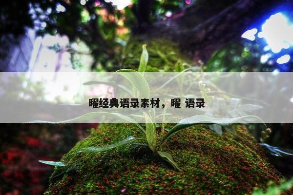 曜经典语录素材，曜 语录
