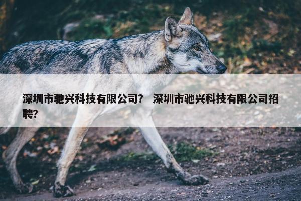 深圳市驰兴科技有限公司？ 深圳市驰兴科技有限公司招聘？