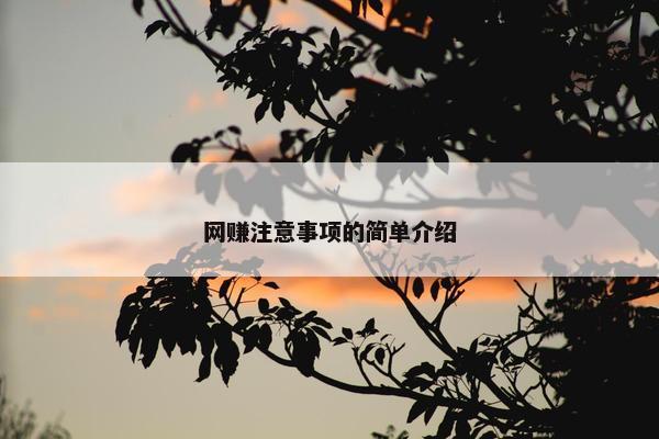 网赚注意事项的简单介绍