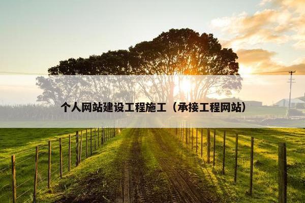 个人网站建设工程施工（承接工程网站）