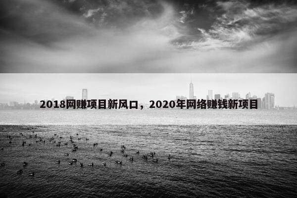 2018网赚项目新风口，2020年网络赚钱新项目