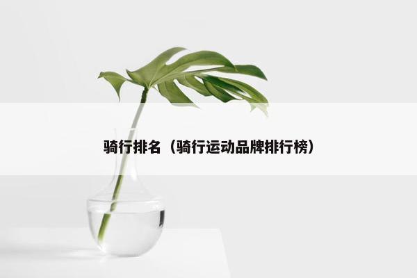 骑行排名（骑行运动品牌排行榜）