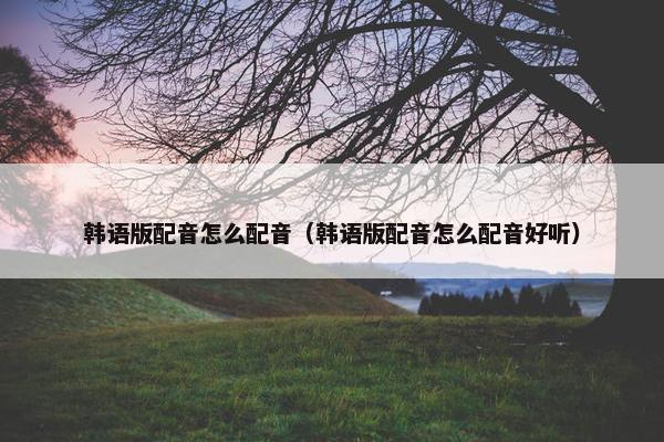 韩语版配音怎么配音（韩语版配音怎么配音好听）