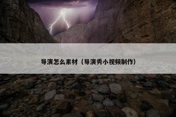 导演怎么素材（导演秀小视频制作）