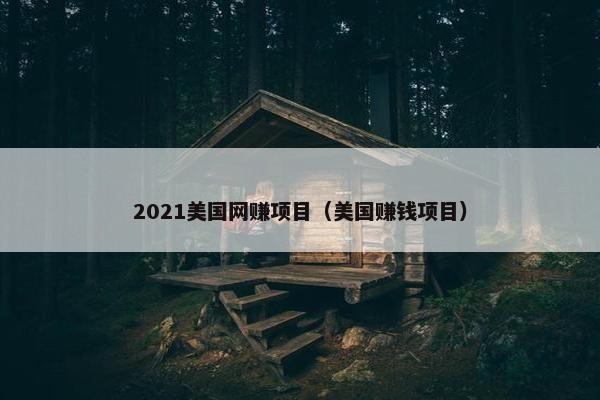 2021美国网赚项目（美国赚钱项目）