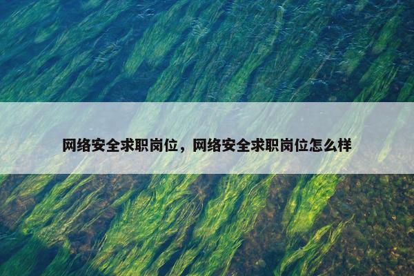 网络安全求职岗位，网络安全求职岗位怎么样