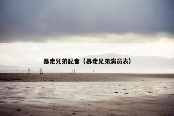 暴走兄弟配音（暴走兄弟演员表）