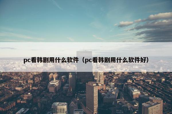 pc看韩剧用什么软件（pc看韩剧用什么软件好）
