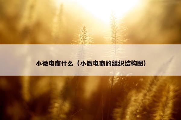 小微电商什么（小微电商的组织结构图）