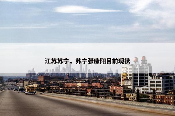 江苏苏宁，苏宁张康阳目前现状