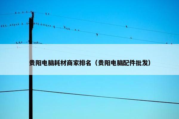 贵阳电脑耗材商家排名（贵阳电脑配件批发）