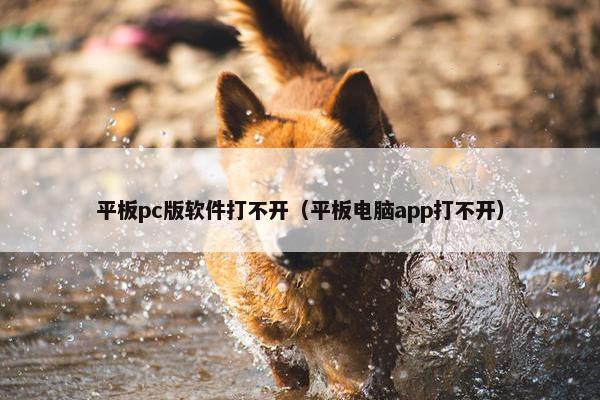 平板pc版软件打不开（平板电脑app打不开）