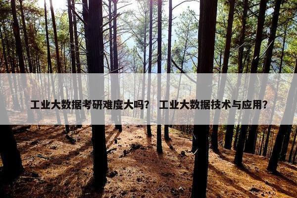工业大数据考研难度大吗？ 工业大数据技术与应用？