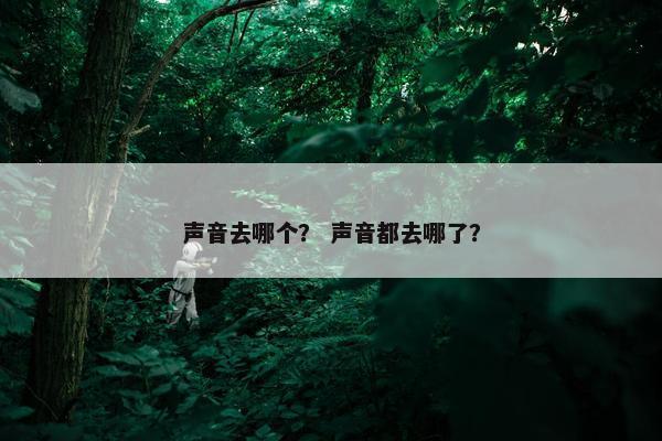 声音去哪个？ 声音都去哪了？