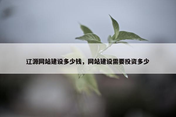 辽源网站建设多少钱，网站建设需要投资多少