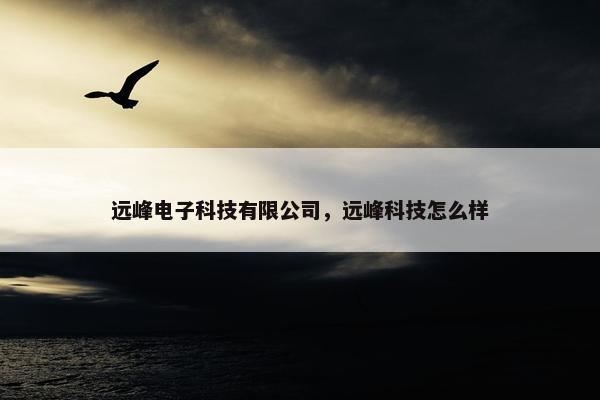 远峰电子科技有限公司，远峰科技怎么样