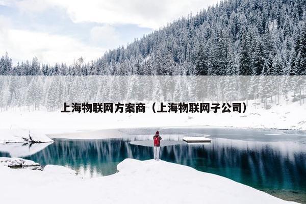 上海物联网方案商（上海物联网子公司）