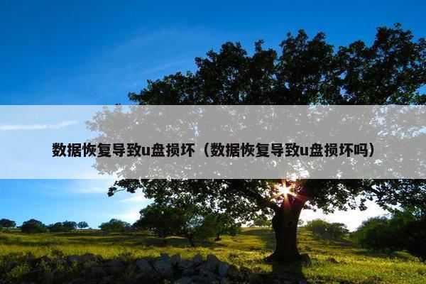 数据恢复导致u盘损坏（数据恢复导致u盘损坏吗）