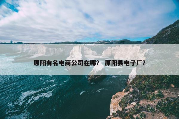 原阳有名电商公司在哪？ 原阳县电子厂？