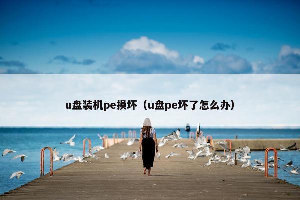 u盘装机pe损坏（u盘pe坏了怎么办）