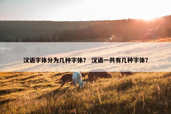 汉语字体分为几种字体？ 汉语一共有几种字体？