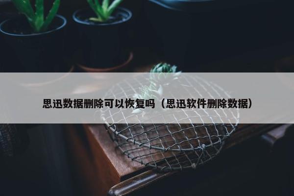 思迅数据删除可以恢复吗（思迅软件删除数据）