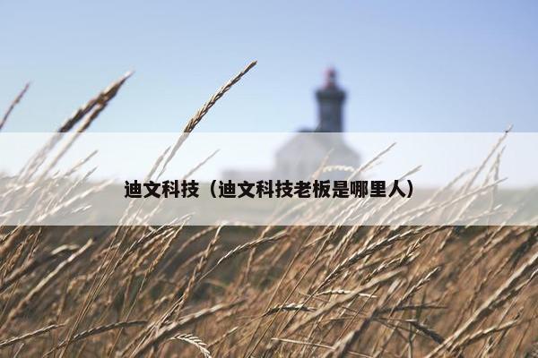 迪文科技（迪文科技老板是哪里人）