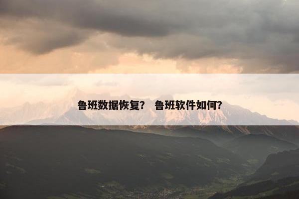 鲁班数据恢复？ 鲁班软件如何？