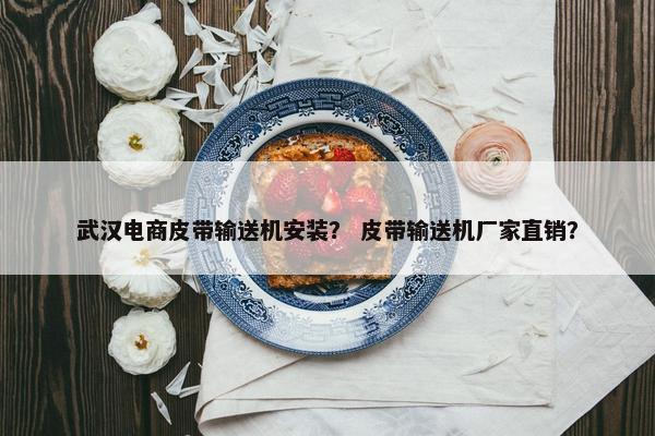 武汉电商皮带输送机安装？ 皮带输送机厂家直销？