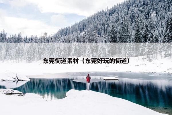 东莞街道素材（东莞好玩的街道）